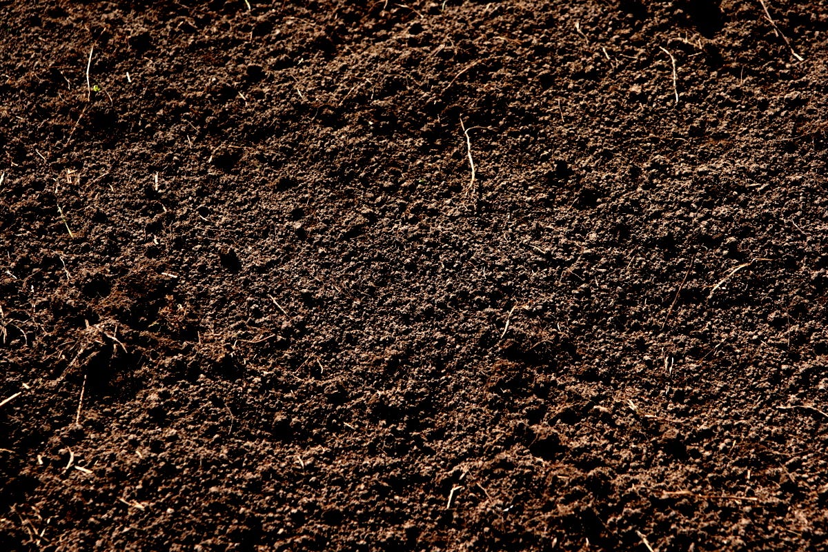 Excavation Services